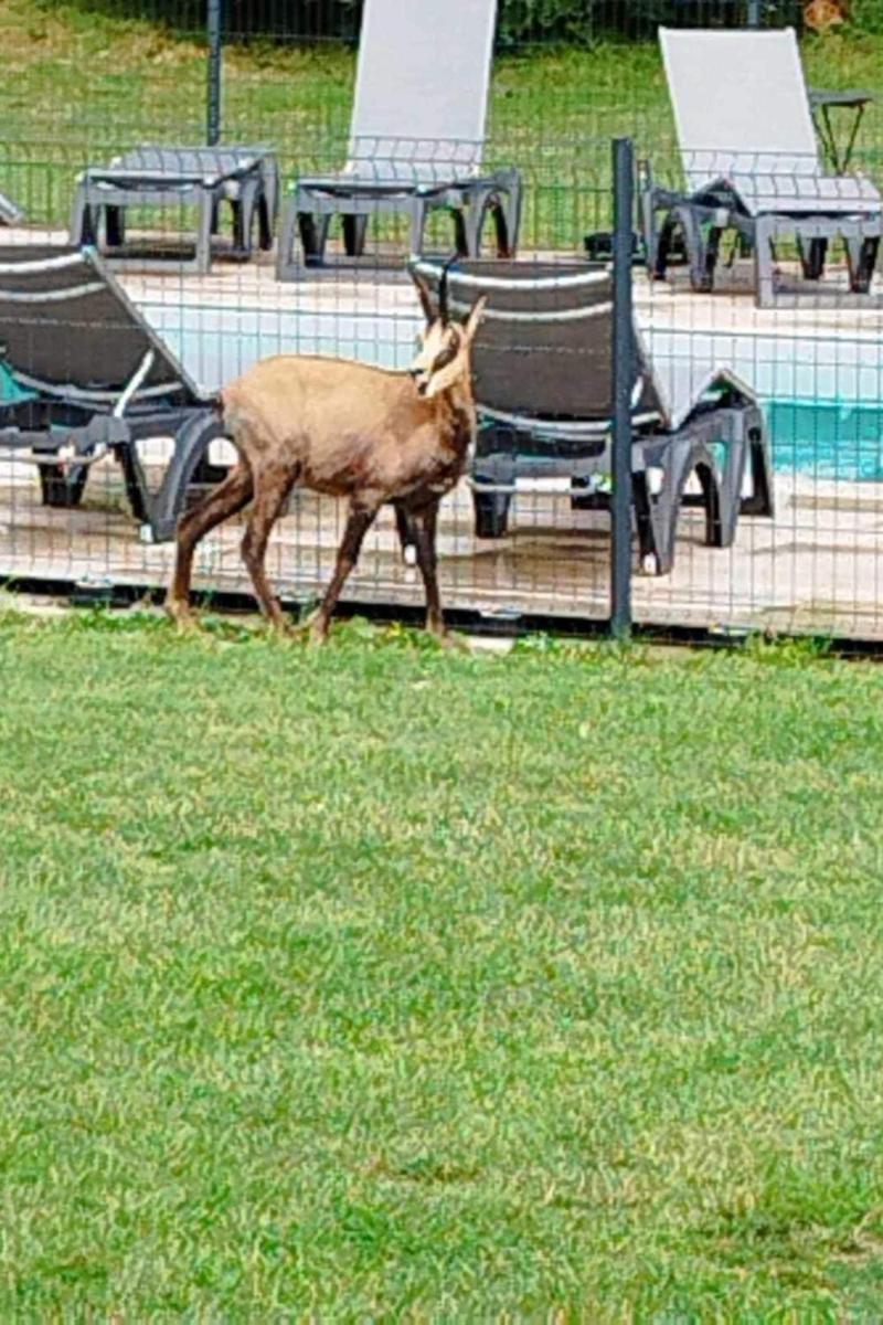 Parc Des Chamois 3 Piscine Chauffee La Chatelaine